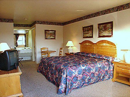 Lakeside Inn & Suites By Oyo Mathis I 37 Værelse billede